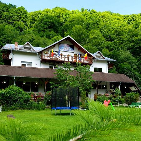 Pensiunea Valea Negrasului Trăisteni Exterior foto