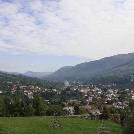 Pensiunea Valea Negrasului Trăisteni Exterior foto