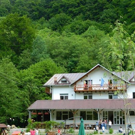 Pensiunea Valea Negrasului Trăisteni Exterior foto