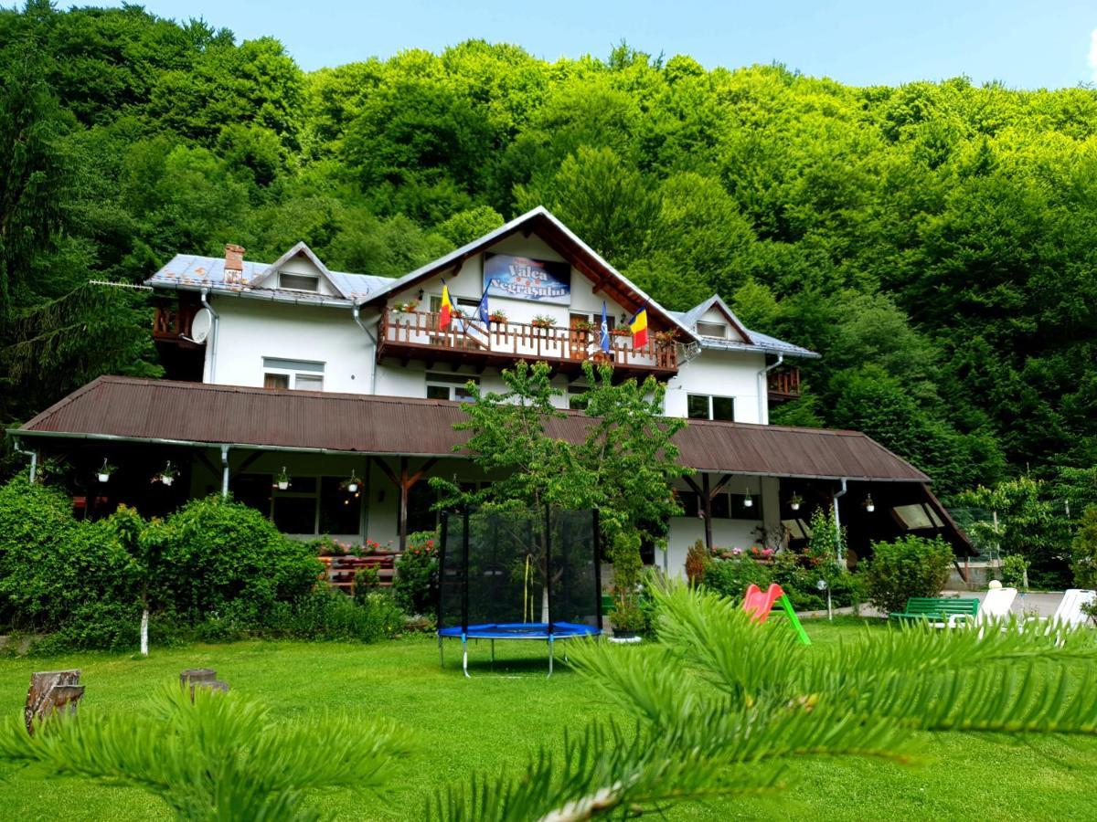Pensiunea Valea Negrasului Trăisteni Exterior foto