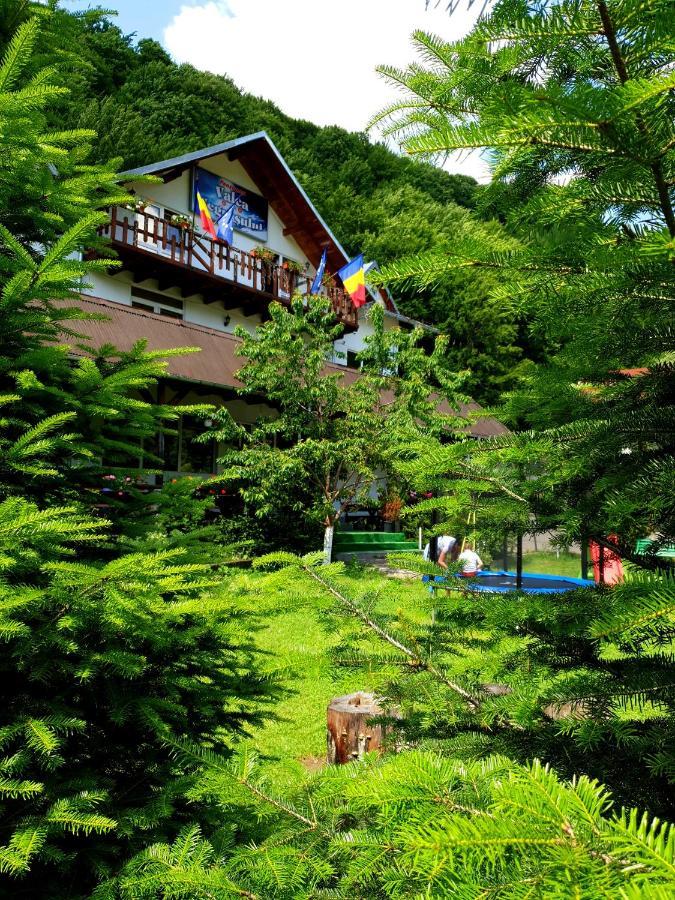 Pensiunea Valea Negrasului Trăisteni Exterior foto