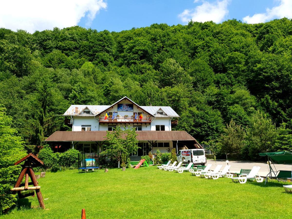 Pensiunea Valea Negrasului Trăisteni Exterior foto