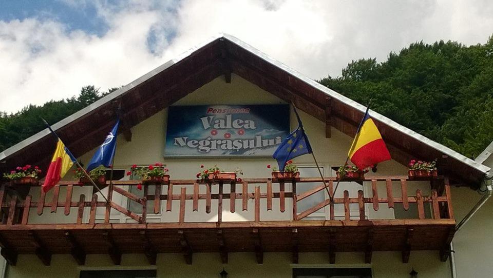 Pensiunea Valea Negrasului Trăisteni Exterior foto