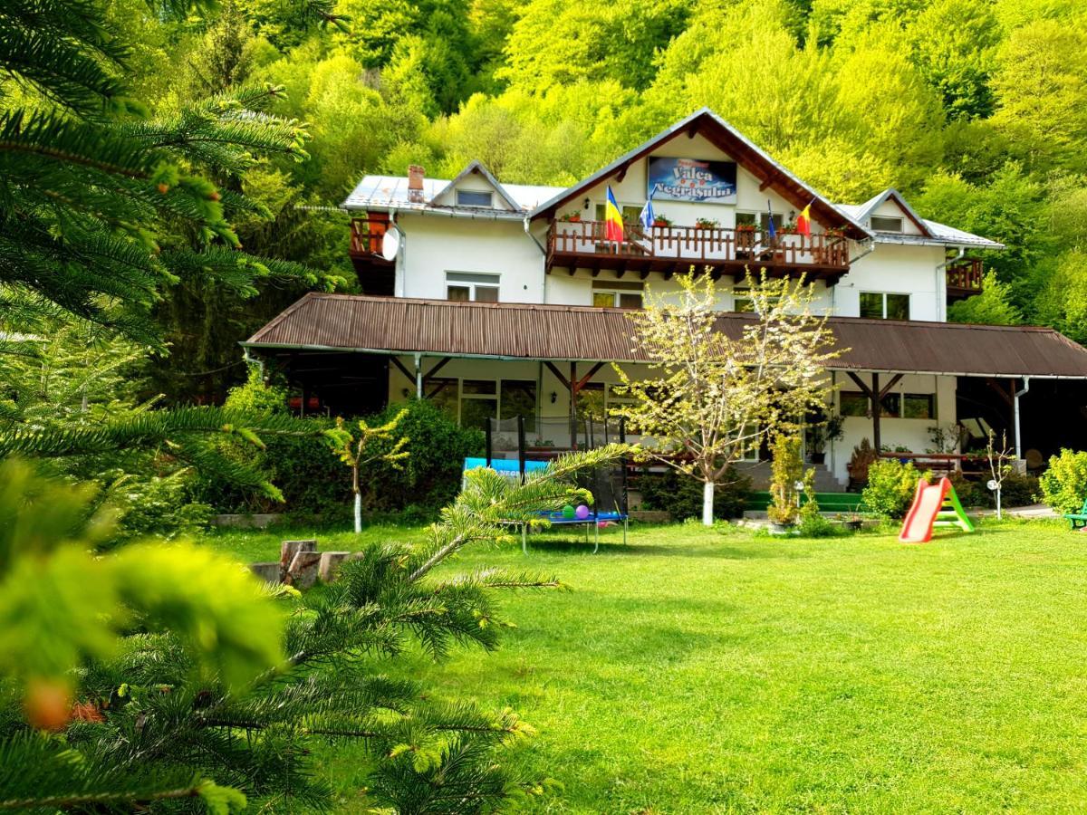 Pensiunea Valea Negrasului Trăisteni Exterior foto