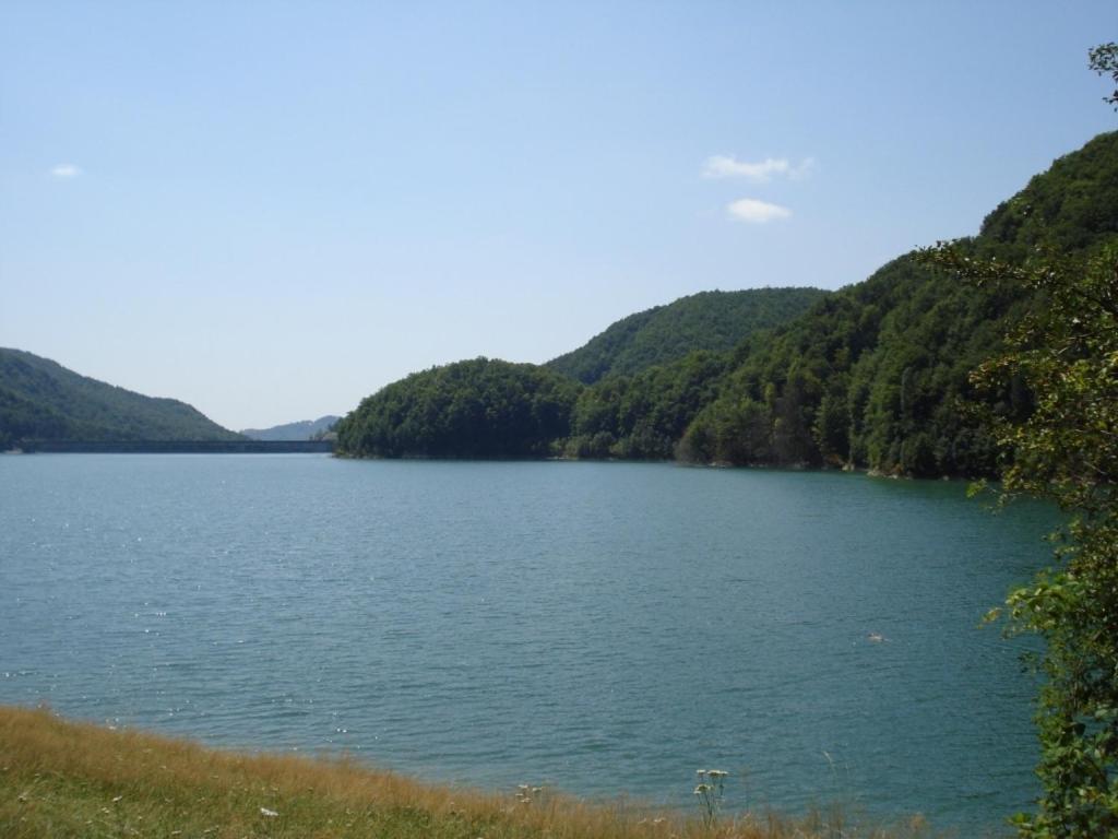 Pensiunea Valea Negrasului Trăisteni Exterior foto