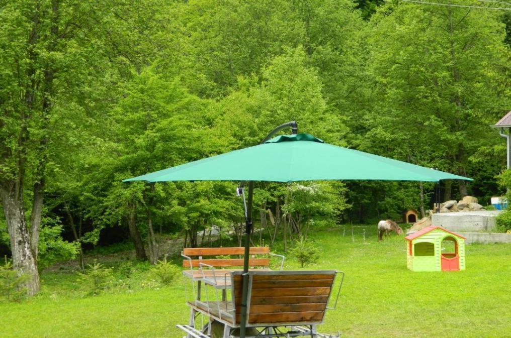 Pensiunea Valea Negrasului Trăisteni Exterior foto