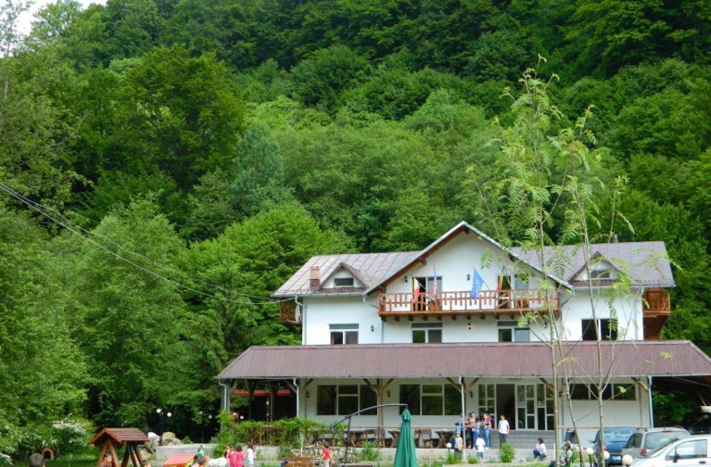 Pensiunea Valea Negrasului Trăisteni Exterior foto